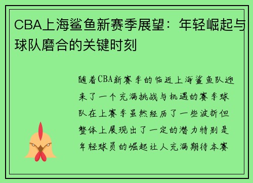 CBA上海鲨鱼新赛季展望：年轻崛起与球队磨合的关键时刻